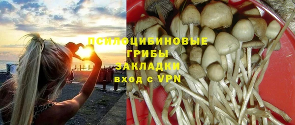 ешки Алексин