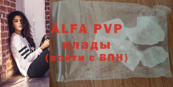 ешки Алексин